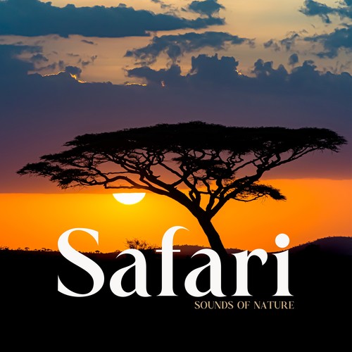 Safari