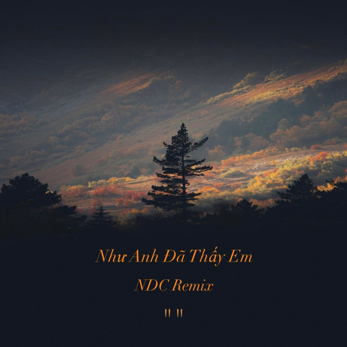 Nhu Anh Da Thay Em