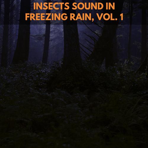 Insects Sound in Freezing Rain, Vol. 1