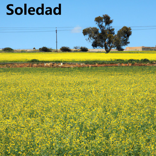 Soledad