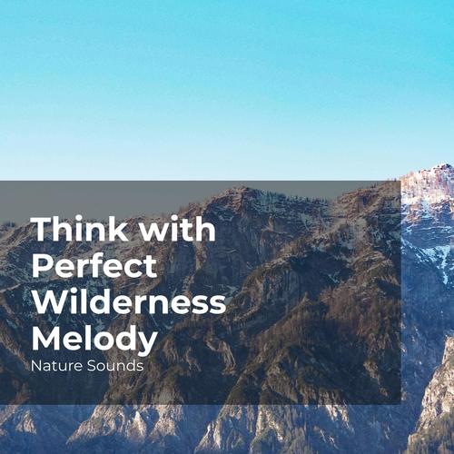 Think with Perfect Wilderness Melody