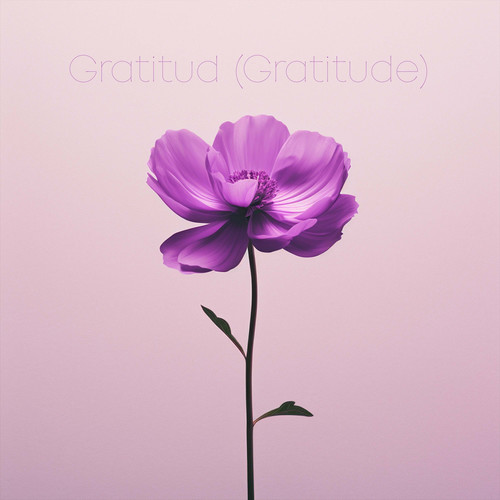 Gratitud (Gratitude)