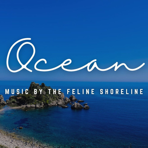 Music by the Feline Shoreline: Oceanic Cat Melodies