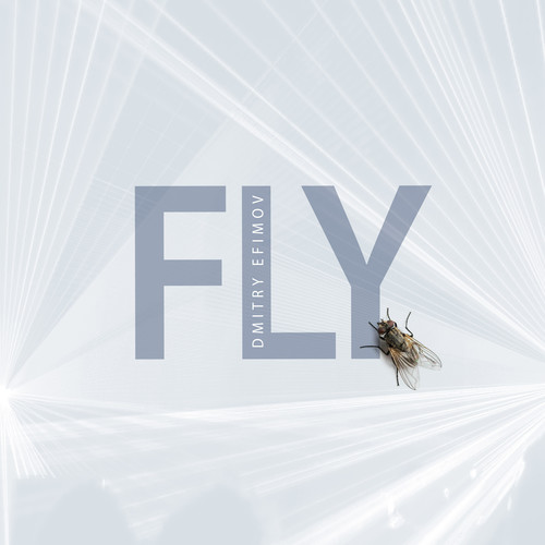 Fly