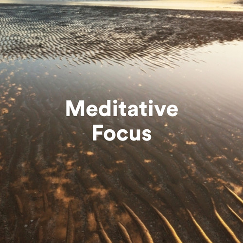 Meditative Focus