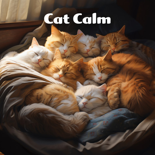 Cat Calm