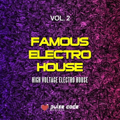 Famous Electro House, Vol. 2 (High Voltage Electro House)