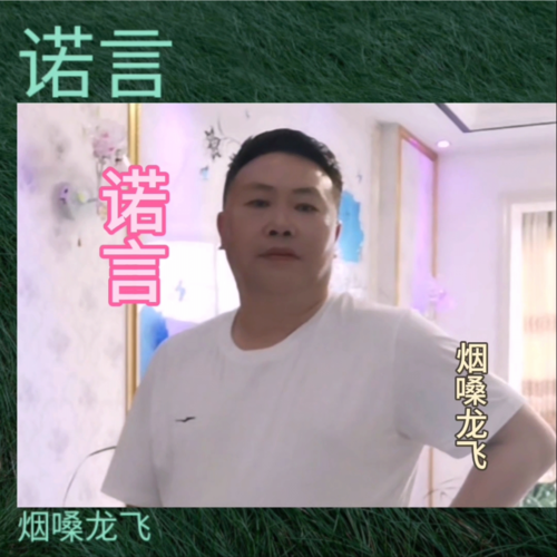 翻唱专辑 诺言