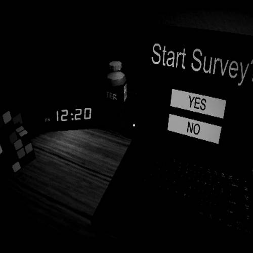 SURVEY.EXE