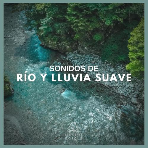 Sonidos de Río y Lluvia Suave