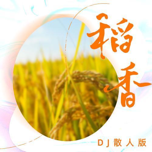 稻香（DJ散人版）