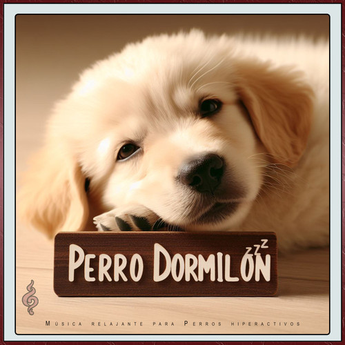 Perro Dormilón: Música Relajante para Perros Hiperactivos