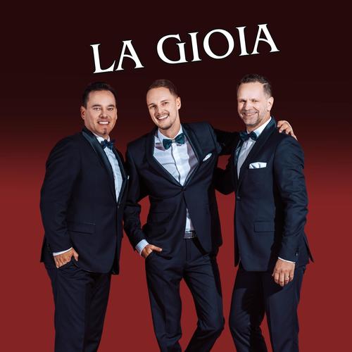 NOTTE STELLATA (feat. LA GIOIA)