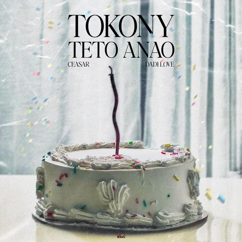 Tokony Teto Anao