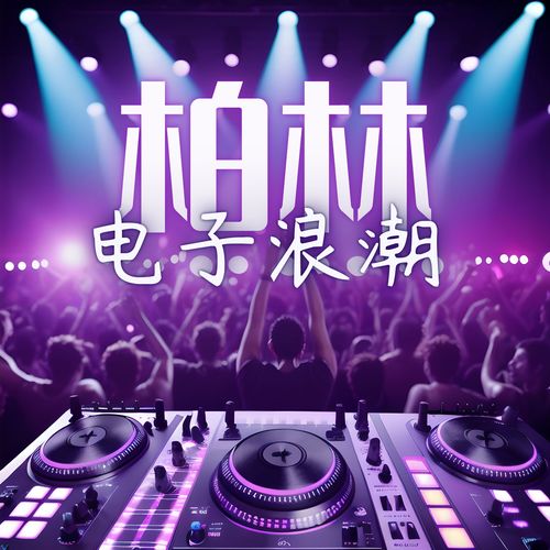 柏林电子浪潮 - 瞬间爆炸DJ夜店，电子迷幻与电子音乐电台