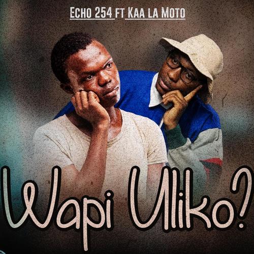 Wapi Uliko (feat. Kaa La Moto)