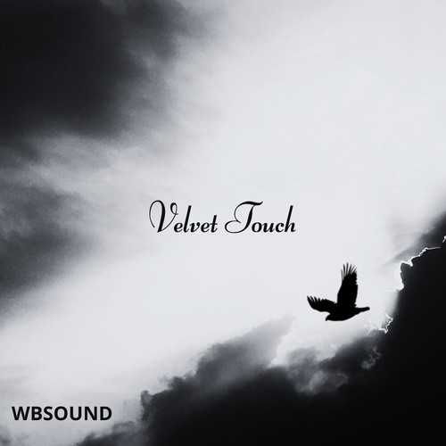 Velvet Touch