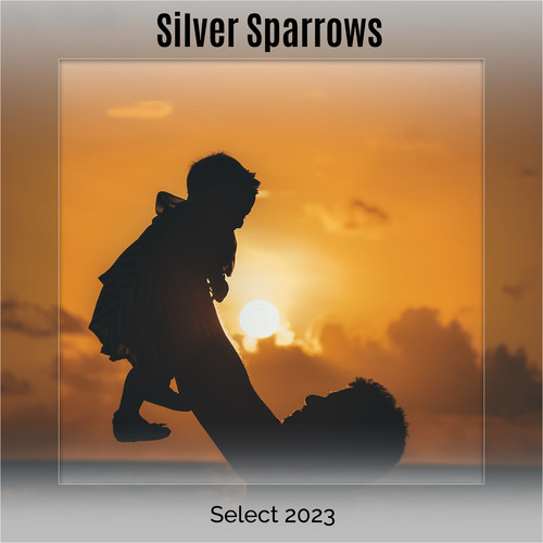 Silver Sparrows