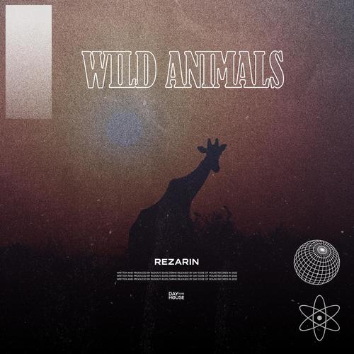 Wild Animals