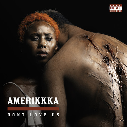 Amerikkka Dont Love Us (Explicit)