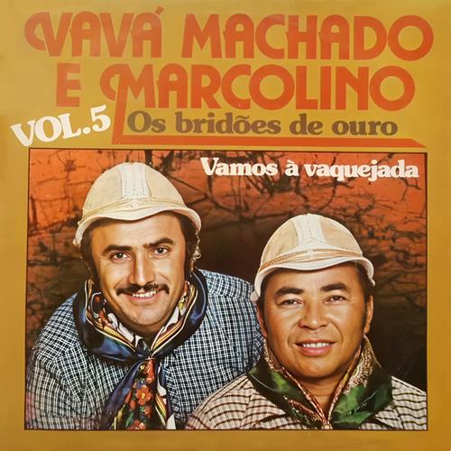 Vamos A Vaquejada, 1980 (Os Bridões de Ouro) , Vol. 5