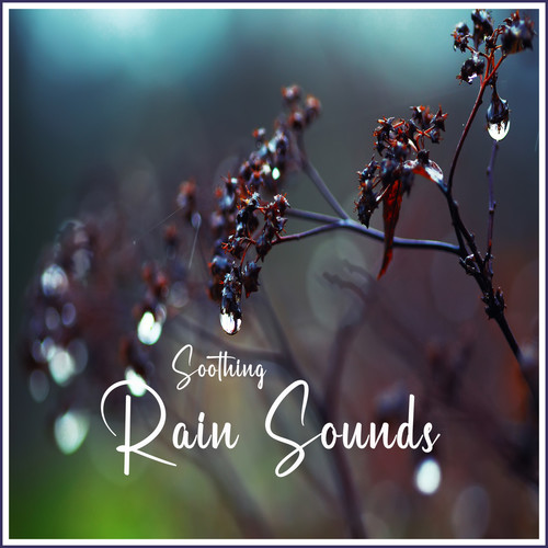 Soothing Rain Sounds