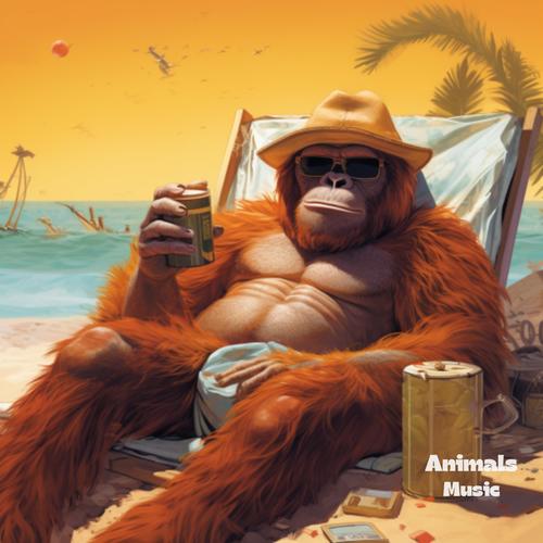 Orangután Lofi Chill Music