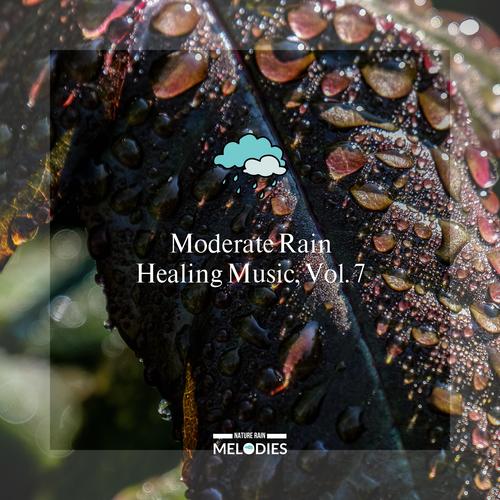 Moderate Rain Healing Music, Vol. 7