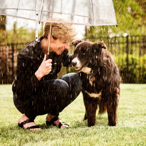 Rain for Pets: Harmonious Music