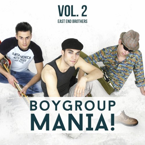 Boygroup Mania, Vol. 2