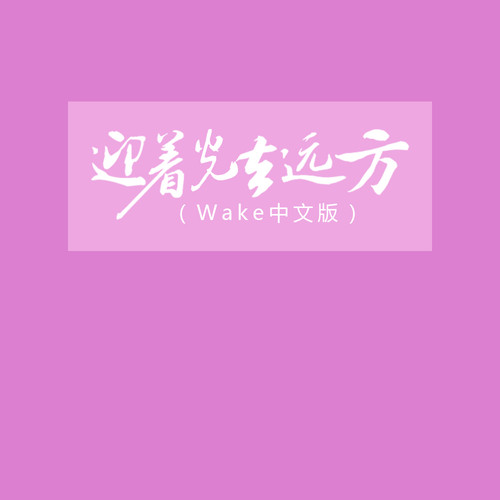 迎着光去远方 (Wake中文版)