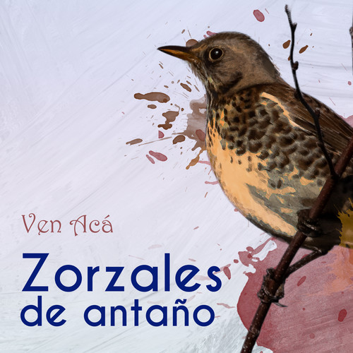 Zorzales de Antaño… Ven Acá