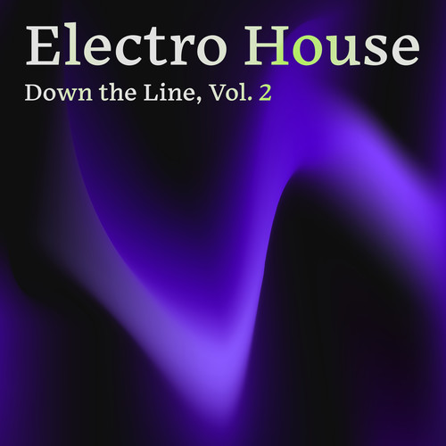 Electro House Down the Line, Vol. 2 (Explicit)