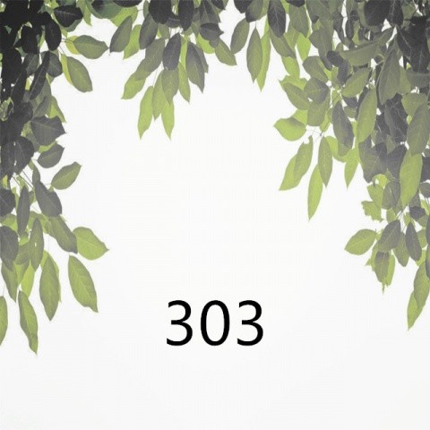 303