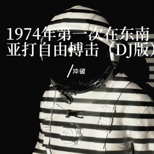 1974年第一次在东南亚打自由搏击 (DJ版)