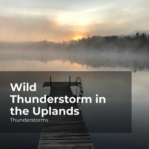 Wild Thunderstorm in the Uplands