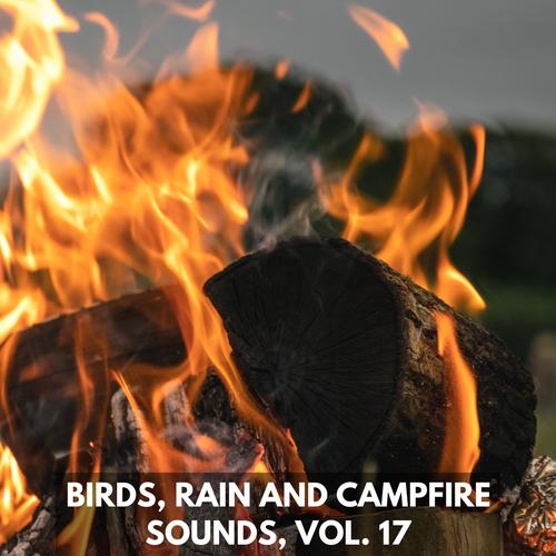 Birds, Rain and Campfire Sounds, Vol. 17