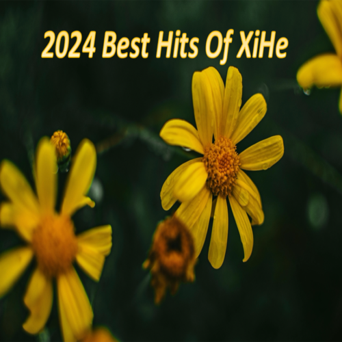 2024 Best Hits Of XiHe