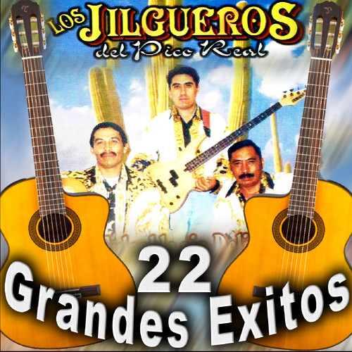 22 Grandes Exitos