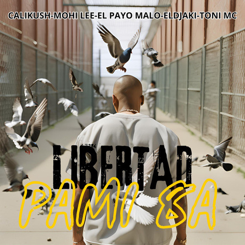 LIBERTAD PAMI 8A