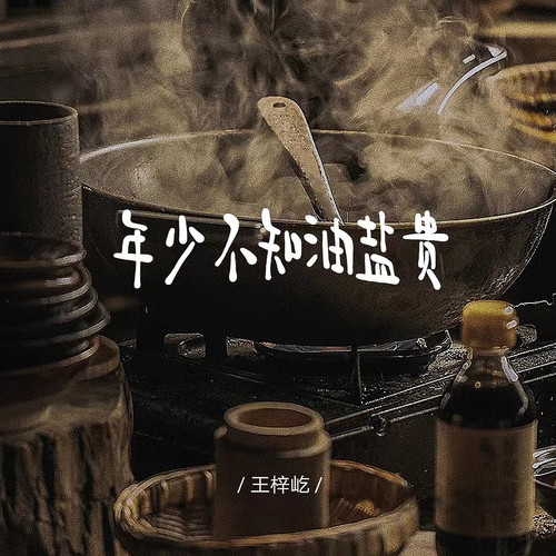 年少不知油盐贵（我祝你风生水起）