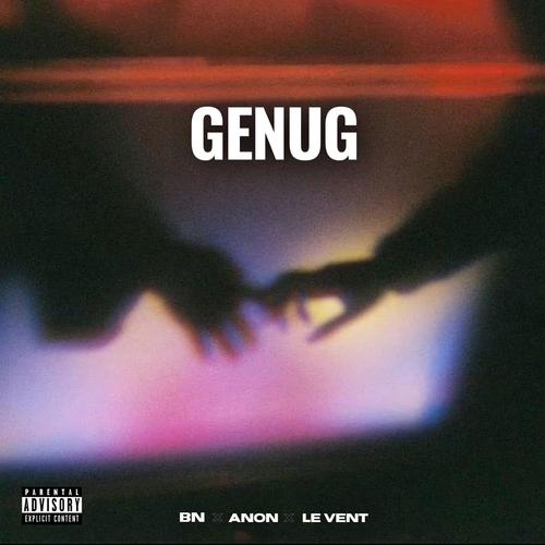 GENUG (feat. LE VENT & ANON) [Explicit]
