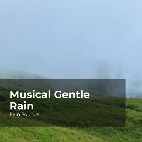 Musical Gentle Rain