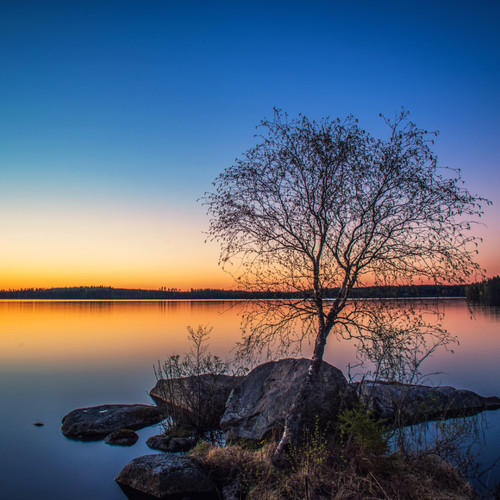 Music for Stress Relief: Lakeside Yoga Rhapsody