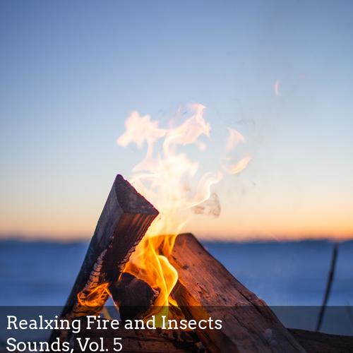 Realxing Fire and Insects Sounds, Vol. 5