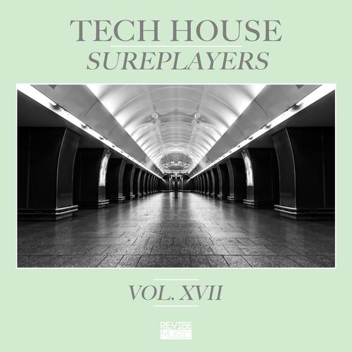 Tech House Sureplayers, Vol. 17