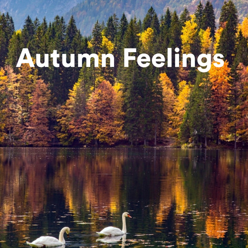 Autumn Feelings (Explicit)