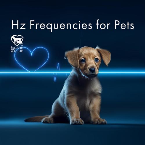 Hz Frequencies for Pets: Sleep Therapy for Dogs