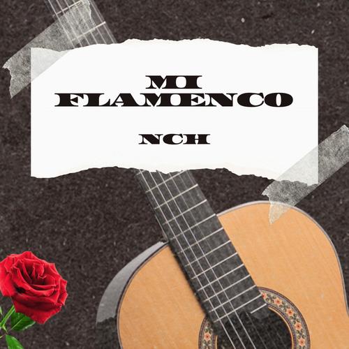 Mi Flamenco