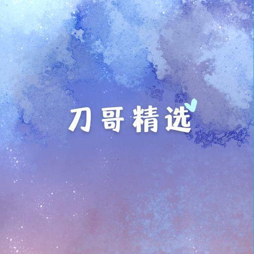 刀哥精选（DJ 北风版）